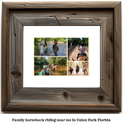 family horseback riding near me in Union Park, Florida